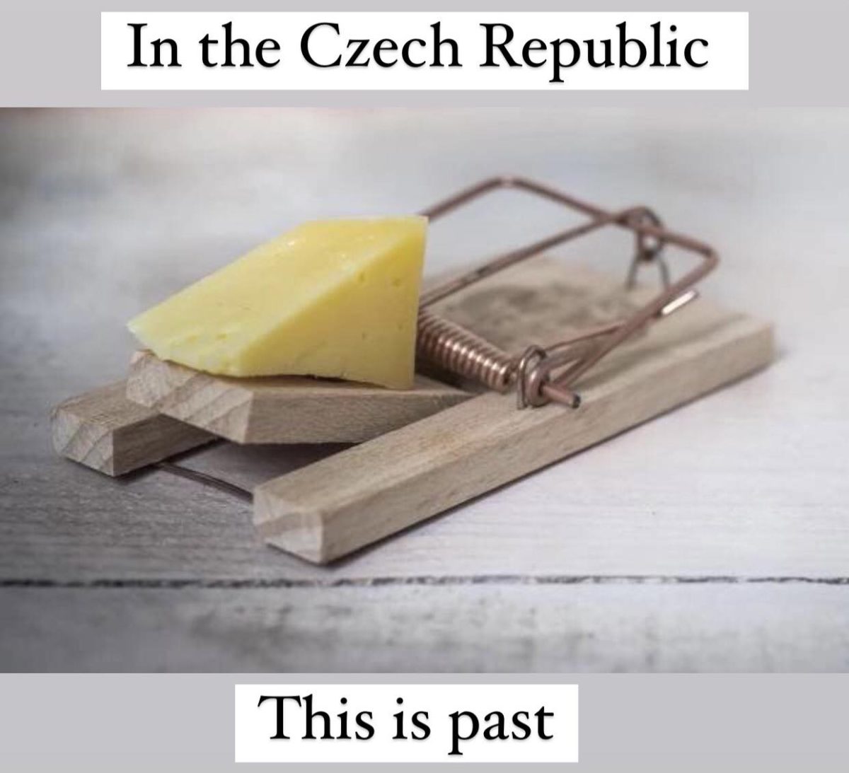 Past na myši s kusom syra na drevenom stole, text v angličtine o Českej republike.