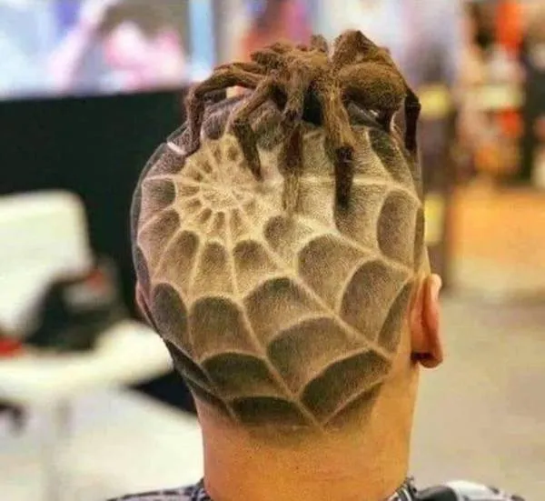 Muži s kreatívnymi vlasmi: účes s pavúčinovým vzorom a dredy, zadný pohľad.