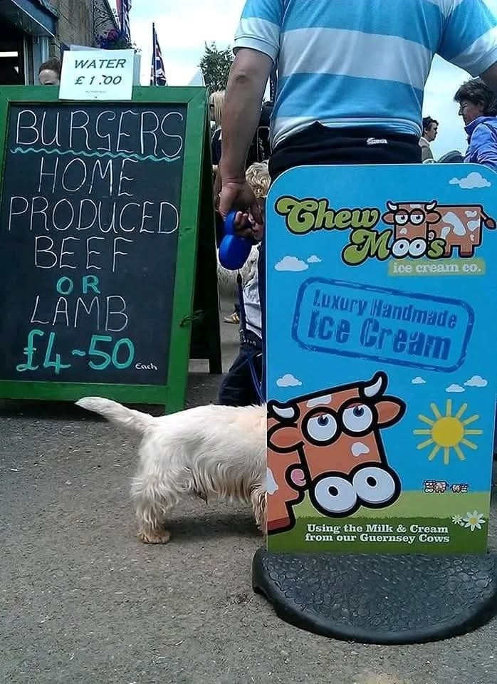 Muž s modrým tričkom a pes stoja vedľa tabule s nápisom na ulici, kde sa predáva zmrzlina a burgery.