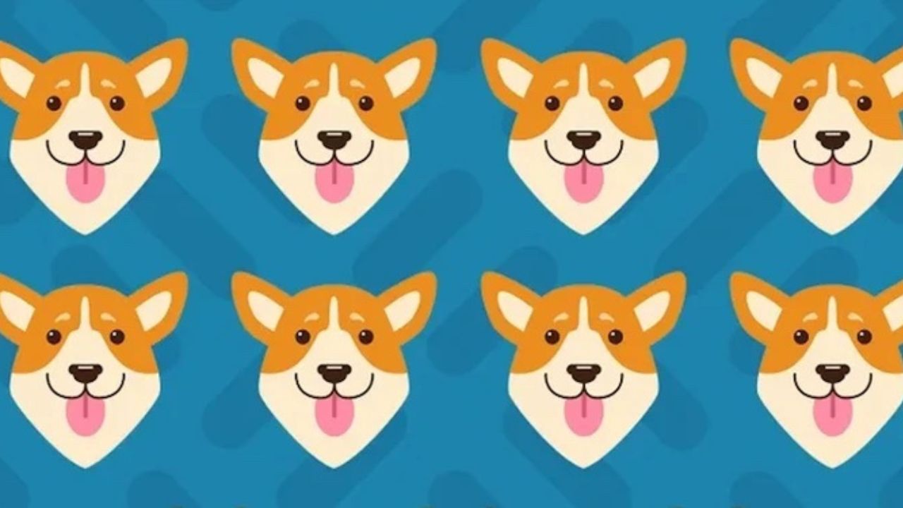 Vzor so smejúcimi sa psíkmi na modrom pozadí, roztomilé ilustrácie tvárí psov.