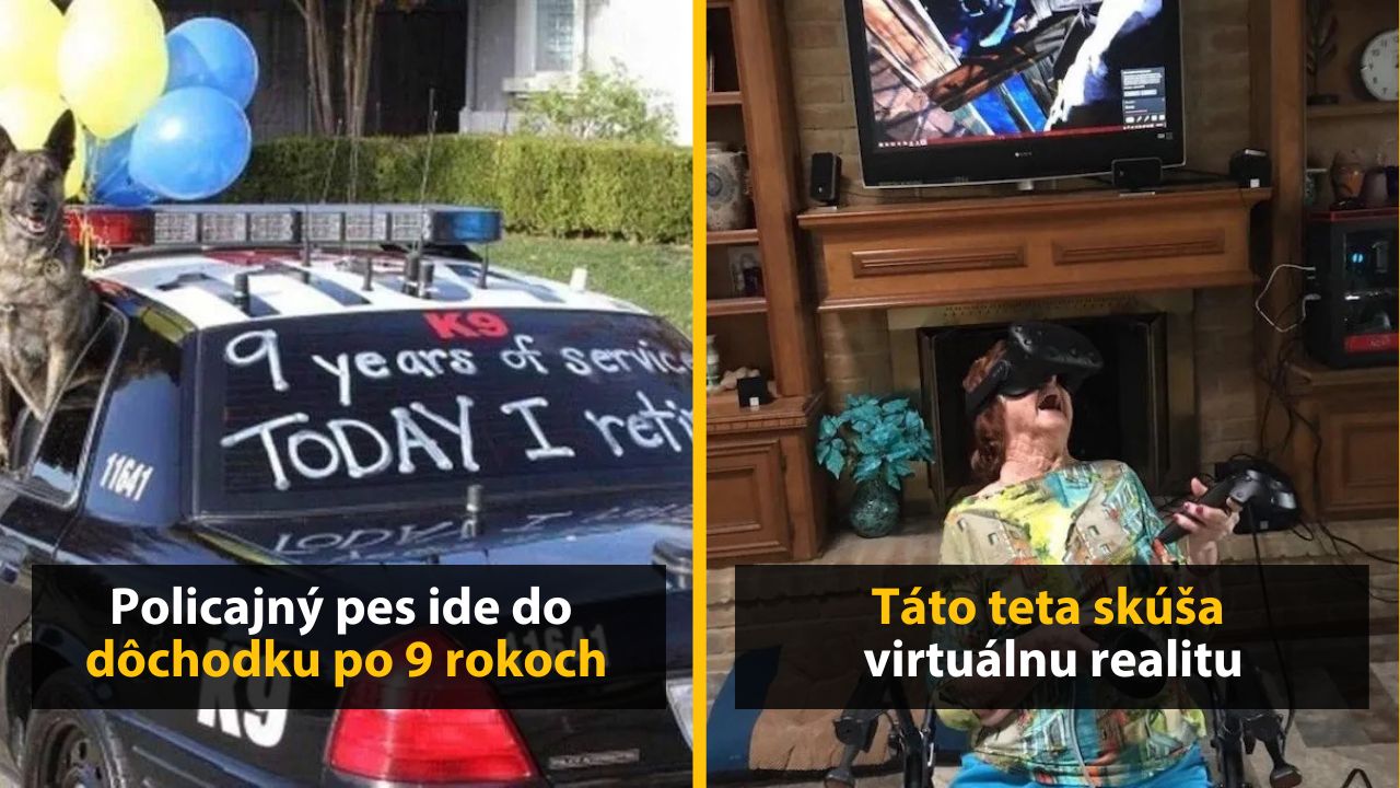 Policajný pes oslavuje dôchodok po 9 rokoch služby; žena s VR okuliarmi objavuje virtuálnu realitu.