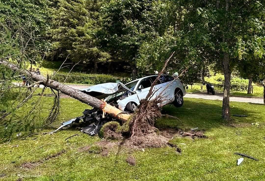 Auto narazilo do stromu v parku, strom leží na kapote, poškodené vozidlo. Environmentálna nehoda vonku.