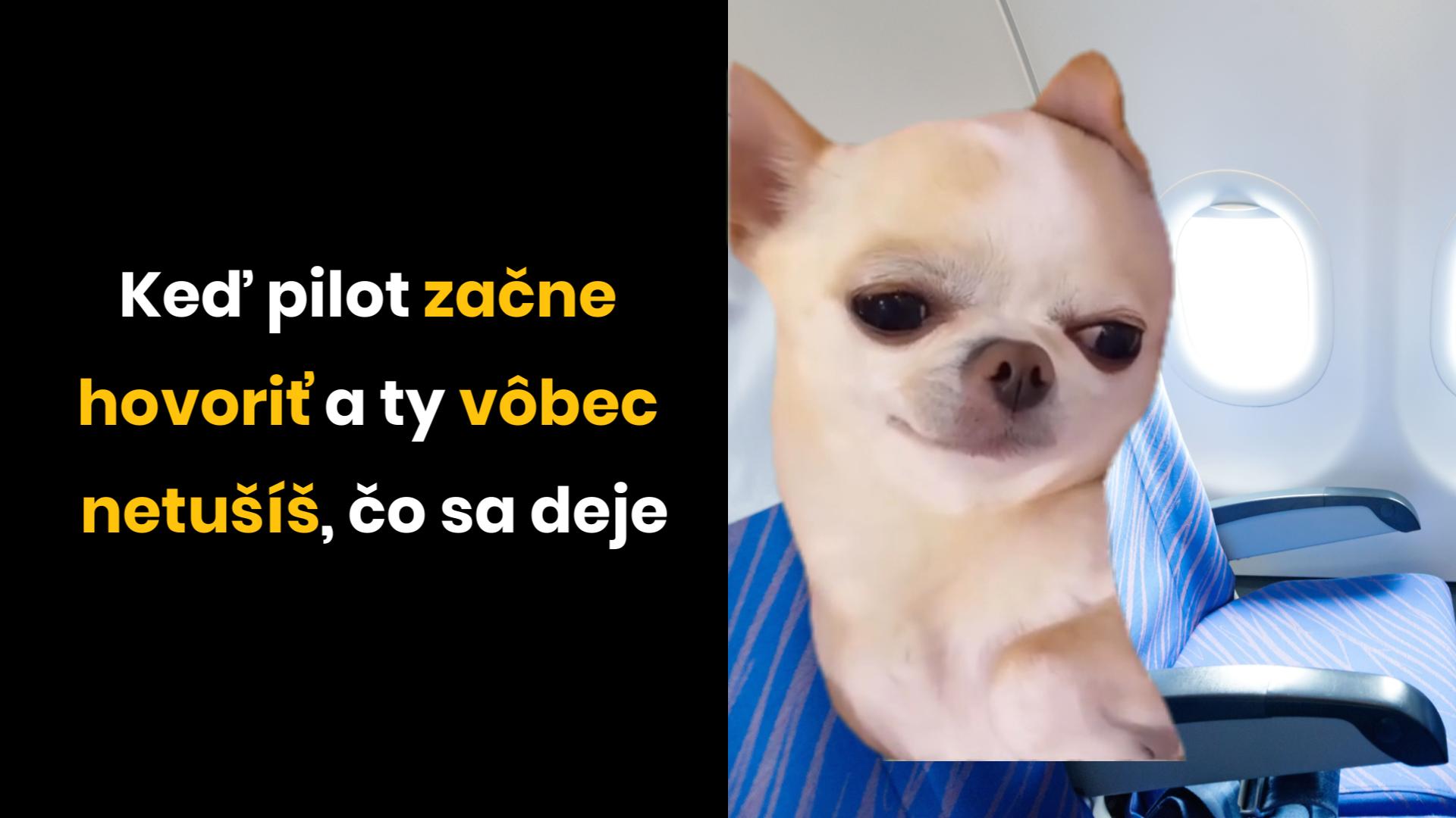 Pes v lietadle s vtipným výrazom, text: Keď pilot začne hovoriť a ty vôbec netušíš, čo sa deje.