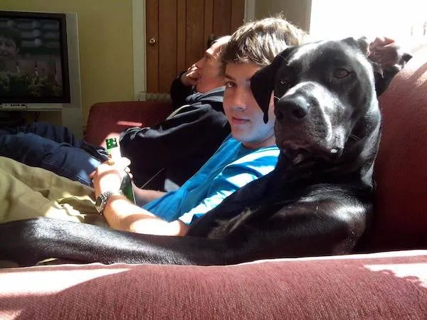 Chlapec a veľký pes relaxujú na gauči, užívajúc si spoločné chvíle v slnečnom obývačke.