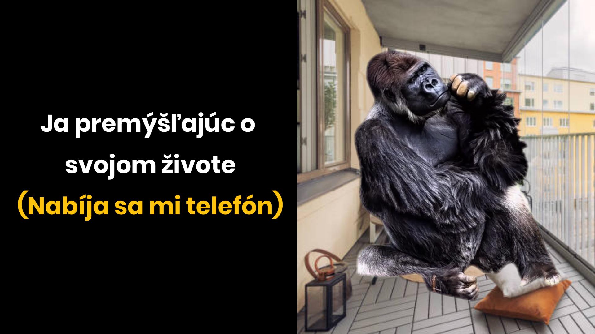 Gorila zamyslená na balkóne, humorný text o premýšľaní počas nabíjania telefónu.