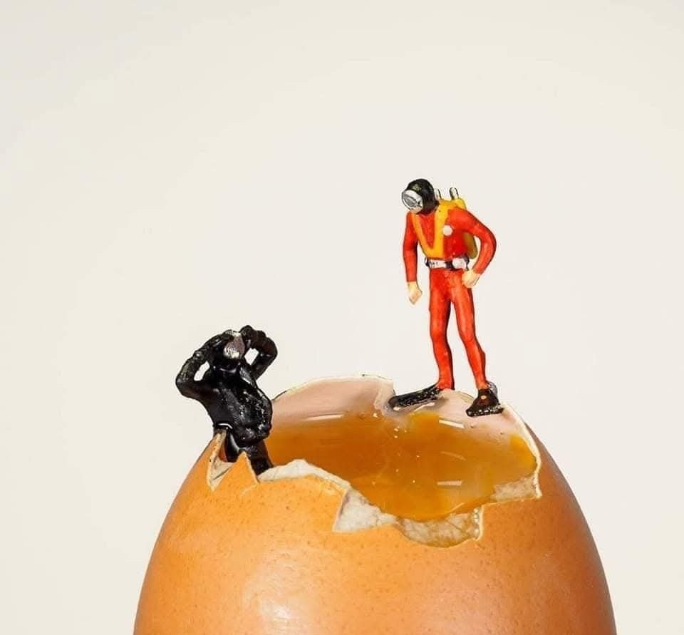 Dvaja miniatúrni potápači na prasknutom vajci, jeden sa pozerá dovnútra, druhý sa drží okraja škrupiny.