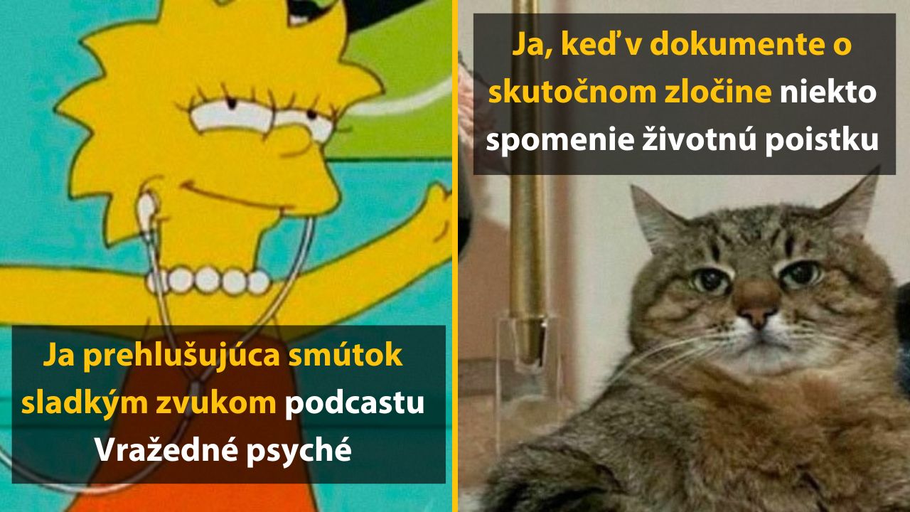 Lisa počúva podcast s textom o smútku a mačka reaguje na zmienku o životnej poistke v dokumente.