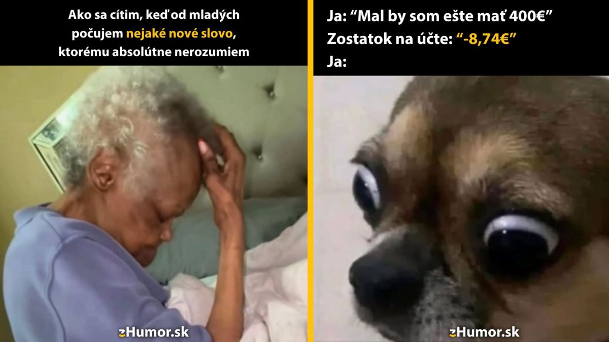 Staršia žena zamyslená nad novými slovami, pes so šokovaným výrazom. Humor o generáciách a financiách.