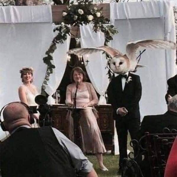 Ženích s hlavou sovy stojaci pred oltárom počas svadobného obradu v exteriéri.