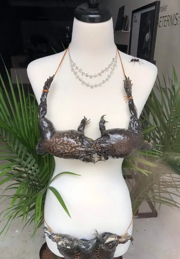Dizajnová podprsenka z krabov na figuríne, dekorovaná náhrdelníkmi, prírodný motív na pozadí.