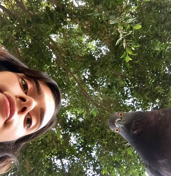 Osoba a holub so zvedavými pohľadmi z nadhľadu pod zelenými stromami.