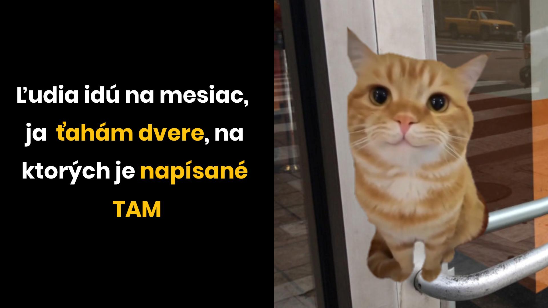 Mačka tlačí na dvere, na ktorých je nápis TAM, s vtipným textom o nešikovnosti ľudí.
