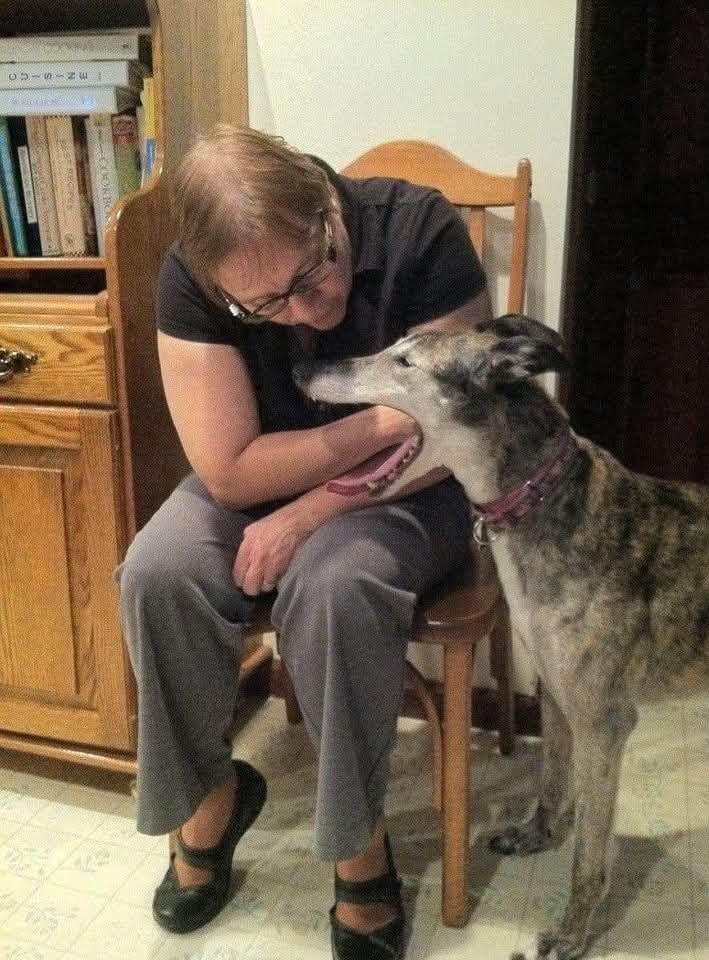 Žena sedí na stoličke a hladká vysokého psa pri kuchynskej linke, obaja sú v priateľskej interakcii.