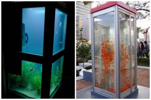 Dve telefónne búdky upravené na akvária, plné plávajúcich rýb a vodných rastlín v mestskom prostredí.
