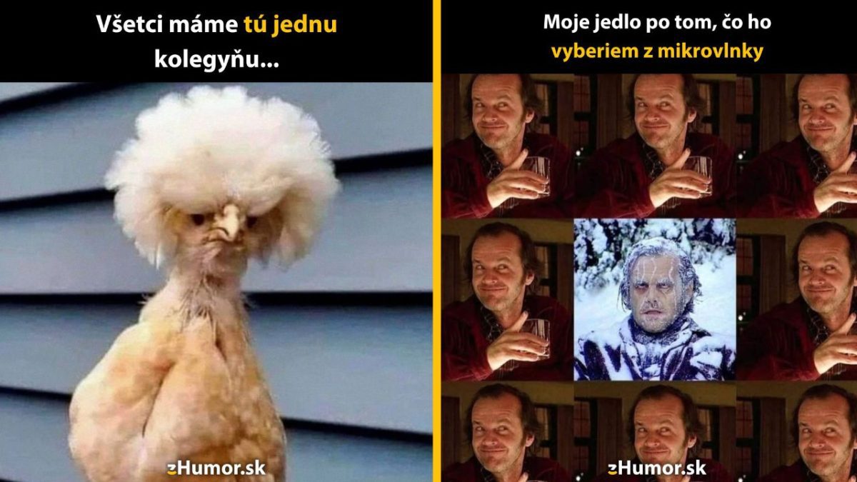 Vtipný obrázok so zvieratkom s veľkou srsťou a filmovou scénou s mužom, ktorý vyzerá prekvapene.