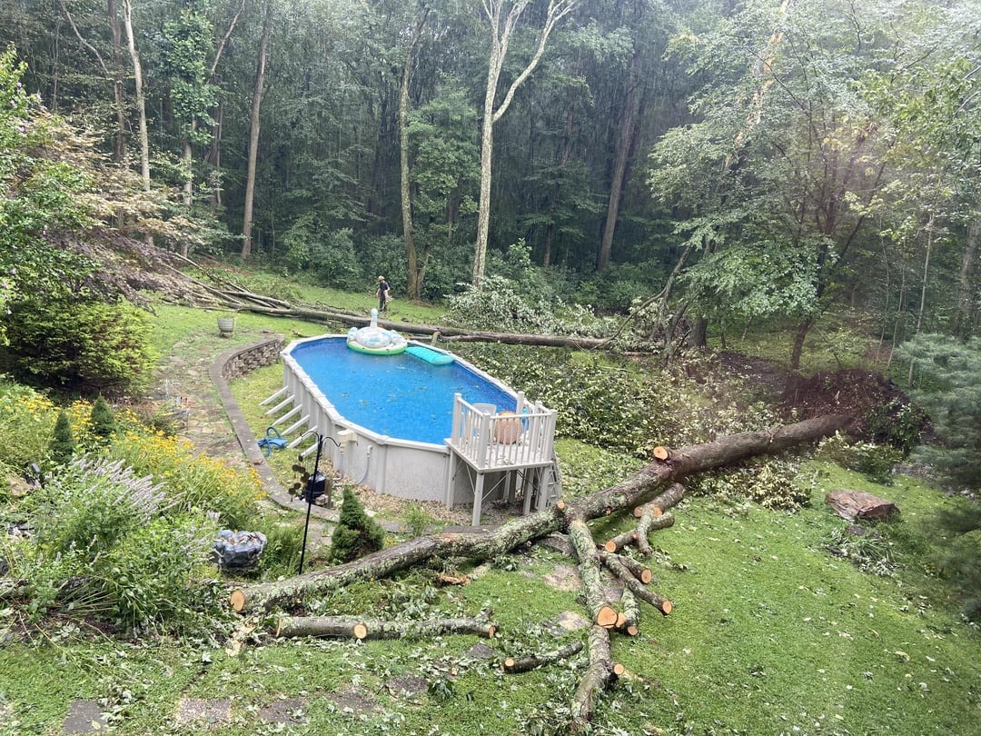 Padnuté stromy pri záhradnom bazéne v lese po búrke, človek stojí vedľa bazéna.