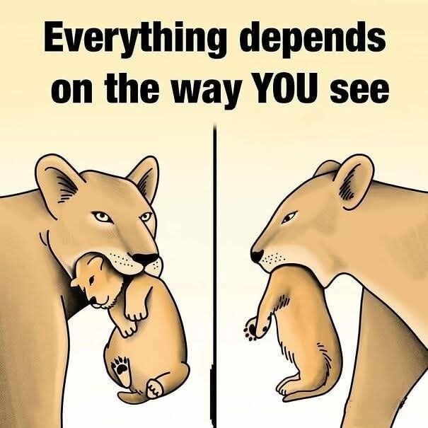 Levica drží mláďa v papuli, obraz rozdelený na dve časti ukazuje rôzne perspektívy pohľadu.