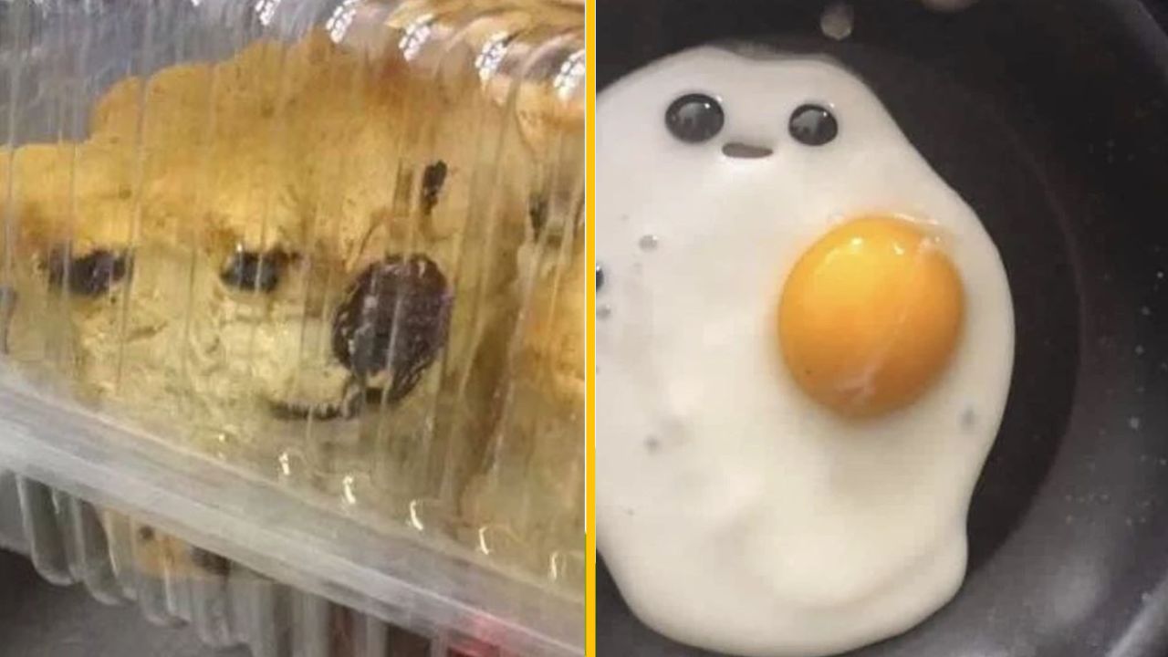 Sušienky v tvare psa v plastovom obale a smažené volské oko pripomínajúce usmievavú tvár.