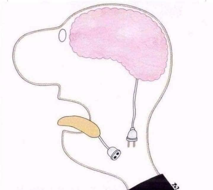 Ilustrovaná hlava so zapojeným mozgom a ústami bez zapojenia, znázorňuje metaforu komunikácie a myslenia.