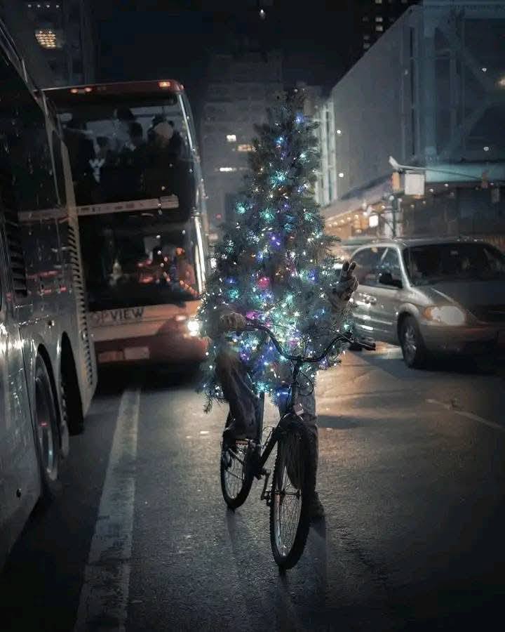 Cyklista v meste nesie vianočný stromček ozdobený svetielkami na bicykli.