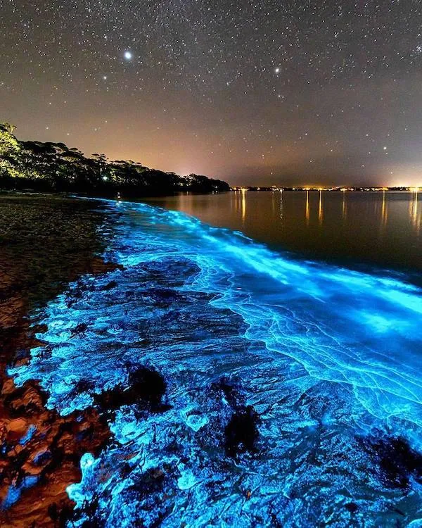 Nočná pláž s bioluminiscenčnými vlnami, žiariaca modrým svetlom pod hviezdami.