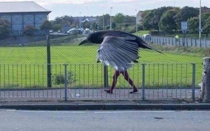 Osoba na chodníku vyzerá, akoby mala telo vtáka, vďaka optickému klamu s krídlami na pozadí.