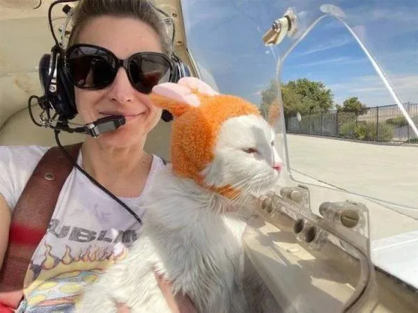 Neznáma žena s mačkou v oranžovej šatke sedí v lietadle, obaja sa pozerajú z okna.