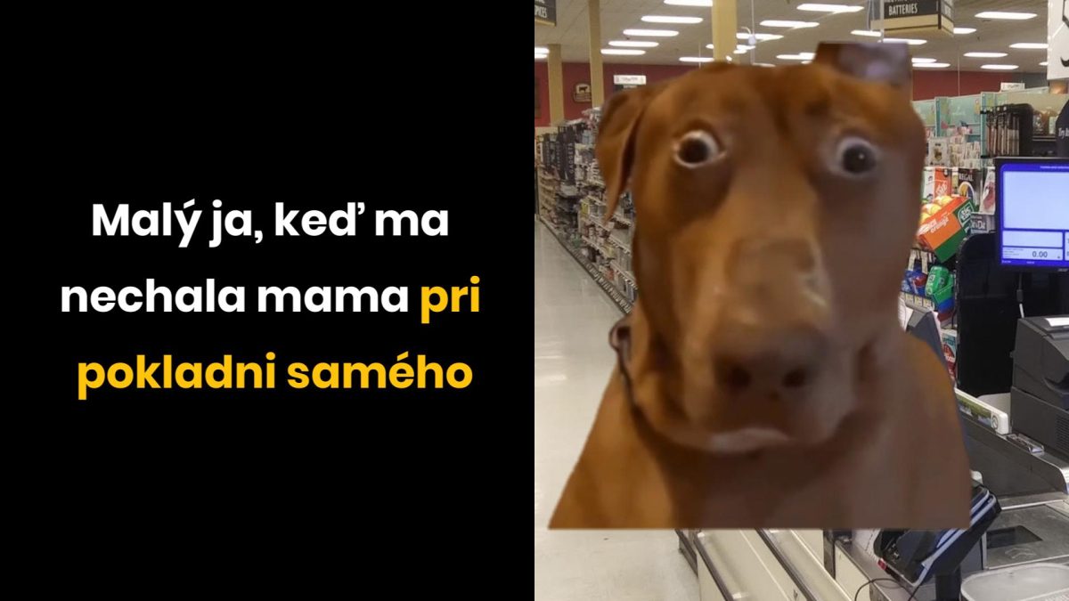 Pes s prekvapeným výrazom stojaci pri pokladni v obchode. Text: Malý ja, keď ma nechala mama pri pokladni samého.