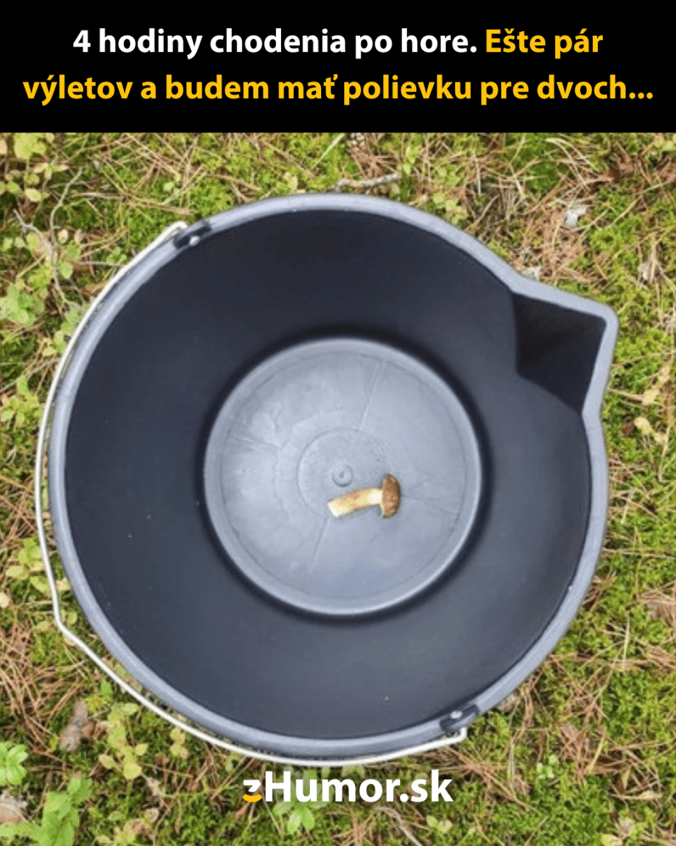 Vedro s jednou hubou na dne, vtipný text o zberaní húb na tanieri.