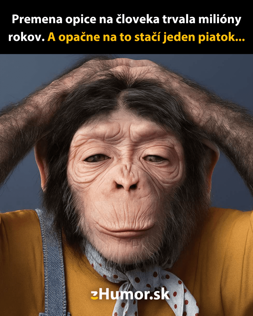 Opica s ľudským výrazom a oblečením, humorný výrok o evolúcii a piatkových večeroch v pozadí.