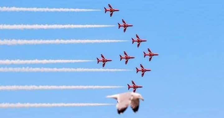 Lietadlá v letovej formácii na modrej oblohe, v popredí letiaci vták.