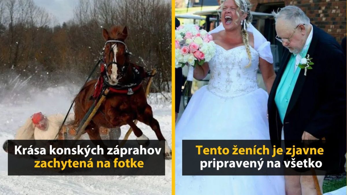 Konský záprah v snehu a veselá nevesta so ženíchom, ktorý sa usmieva v obleku.