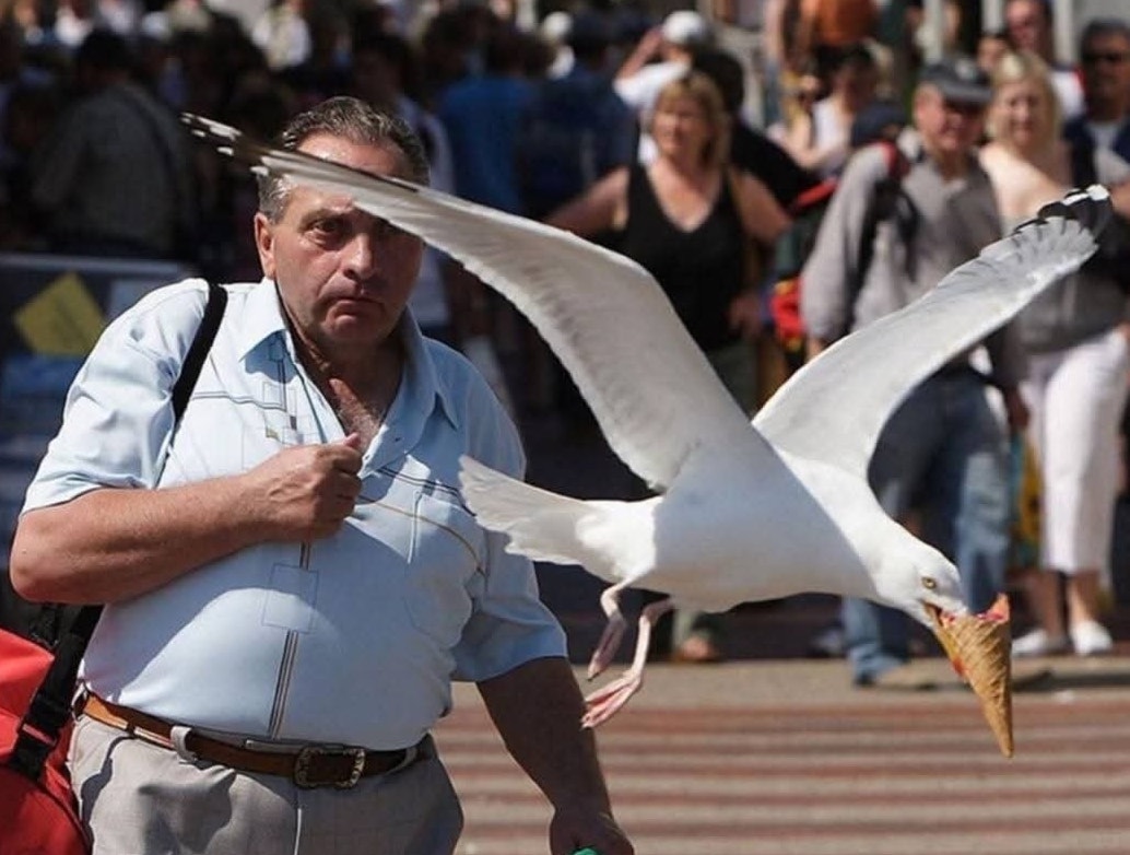 Muž prechádzajúci sa, zatiaľ čo čajka odlieta s jeho zmrzlinou v kornútku.
