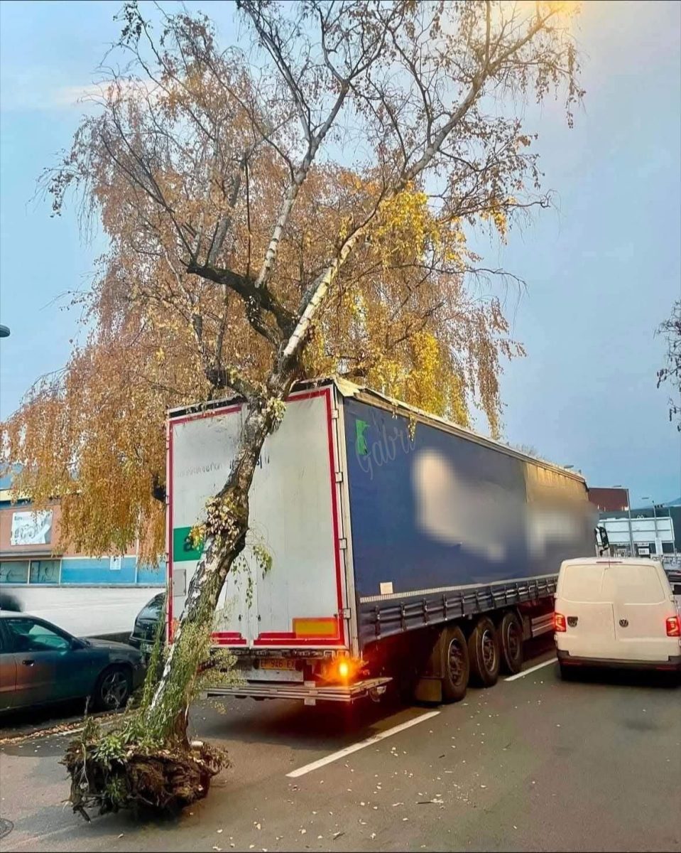 Kamión uviazol na ceste s vytrhnutým stromom zapleteným do jeho nákladného priestoru, v pozadí zaparkované vozidlá.
