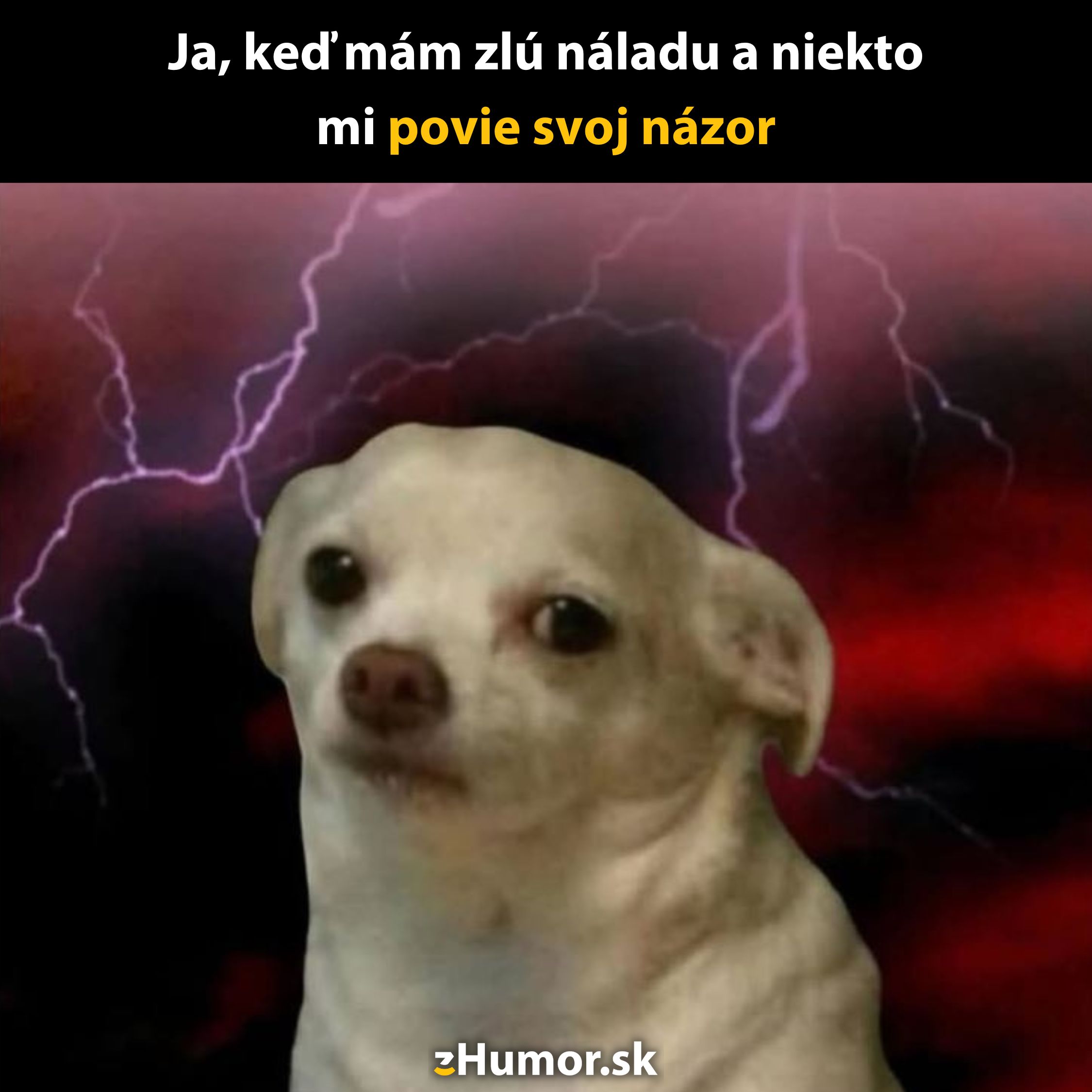 Pes s otráveným výrazom na búrkovom pozadí. Text: Ja, keď mám zlú náladu a niekto mi povie svoj názor.