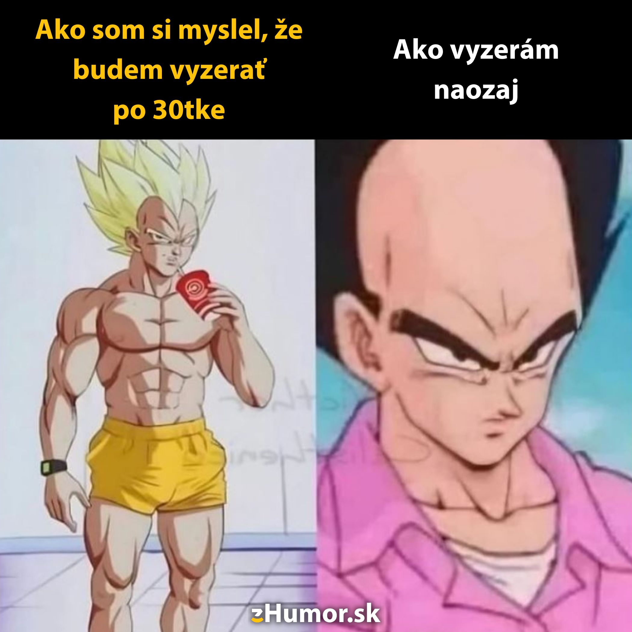 Dve kreslené postavy porovnávajú svoje ideálne predstavy a realitu po 30ke s humorom.