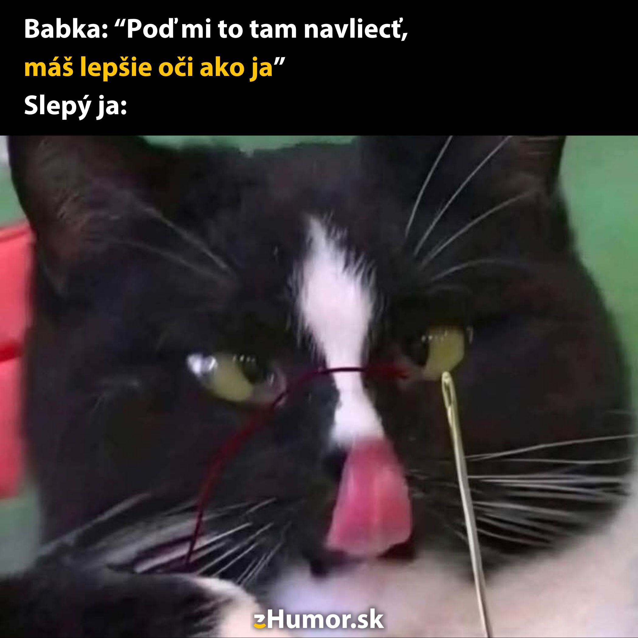 Čierno-biela mačka s natiahnutým jazykom komicky skúša niťou navliecť ihlu.