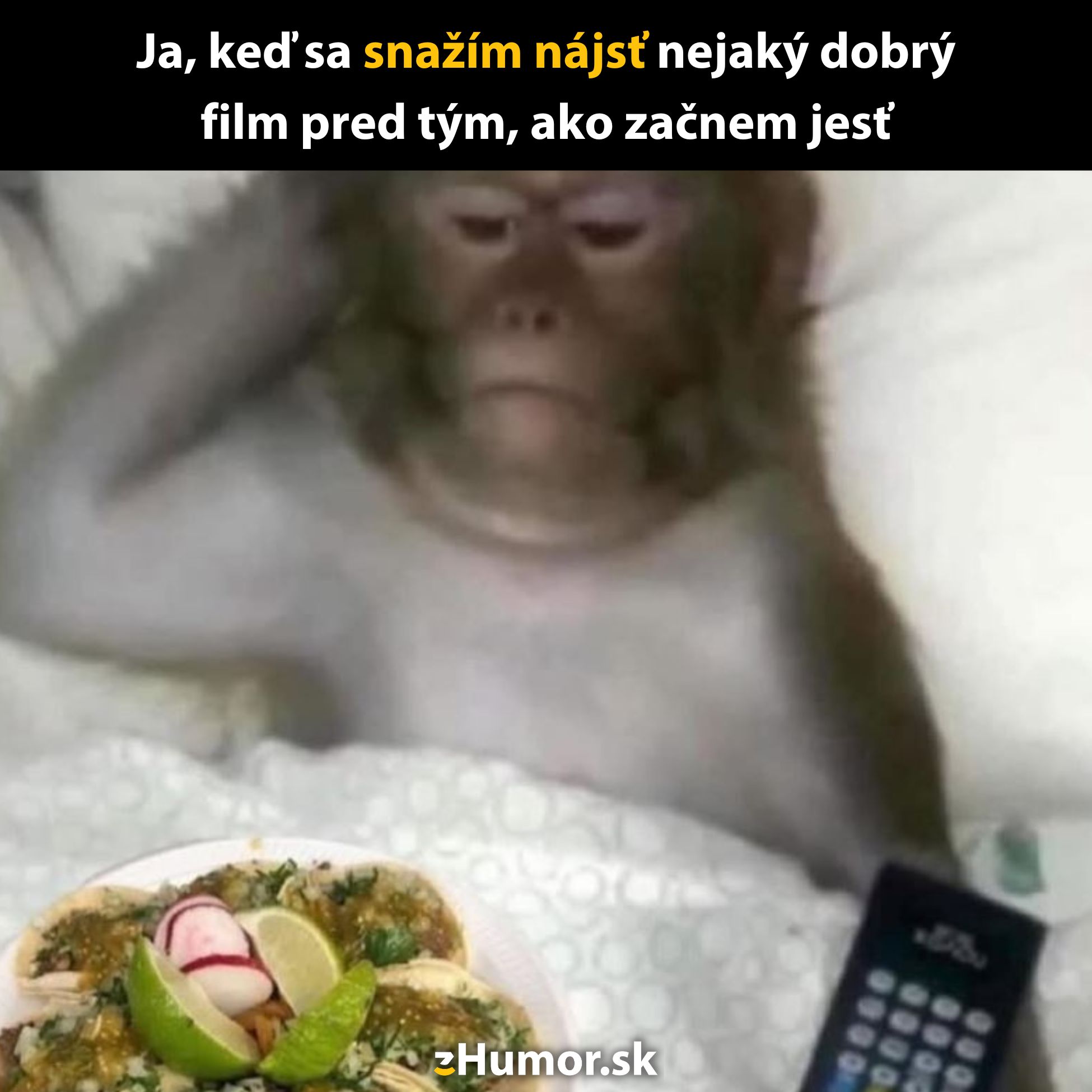 Opica v posteli s diaľkovým ovládačom hľadá film, pred sebou má tanier s jedlom.