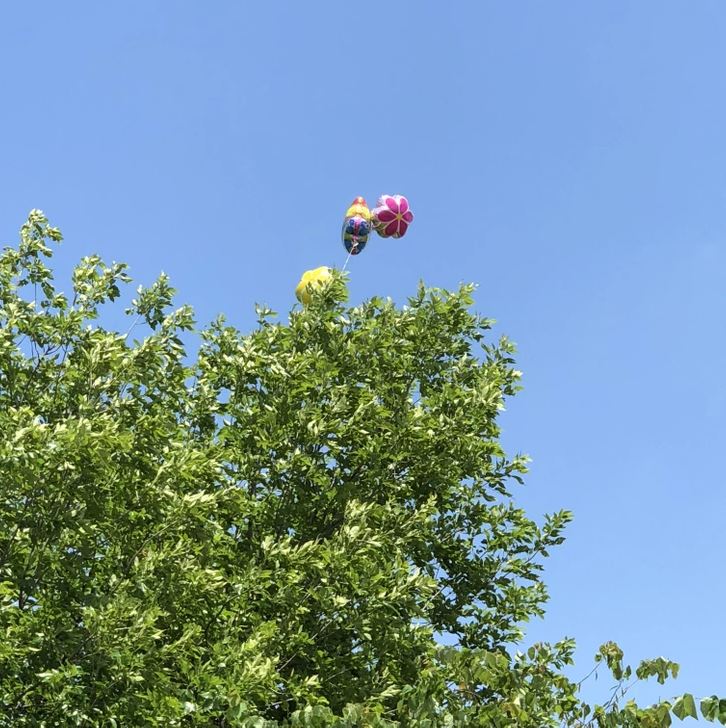 Farebné balóny uviaznuté nad stromom na modrej oblohe.