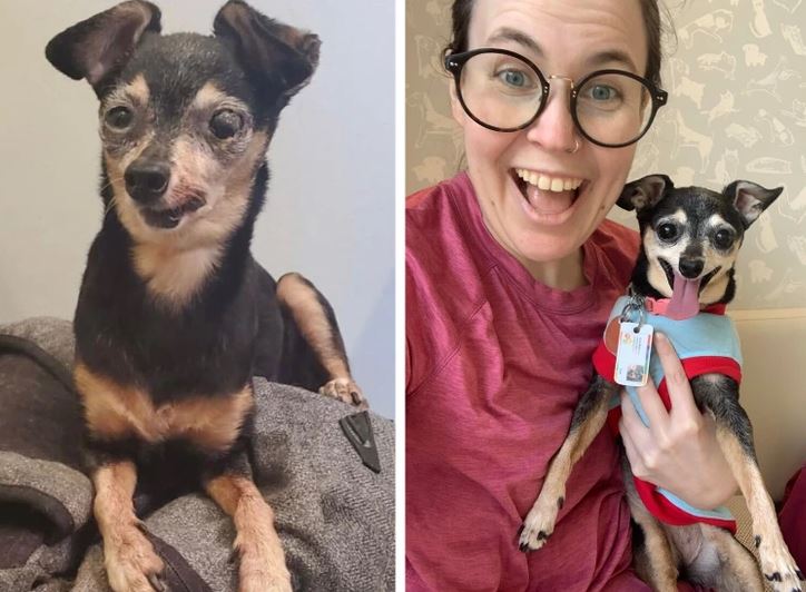 Roztomilý psík pred a po adopcii s novou šťastnou majiteľkou, ktorá ho drží v náručí.