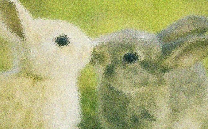 Dva rozmazané zajačiky jemne nosom nos, v zelenom pozadí, symbolizujú lásku v prírode.