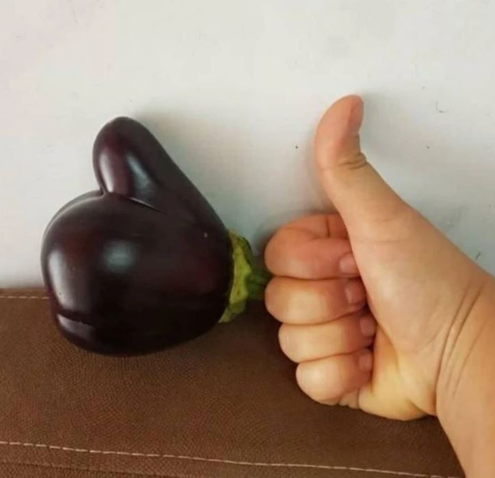 Baklažán tvaru palca hore vedľa ľudskej ruky na gauči.