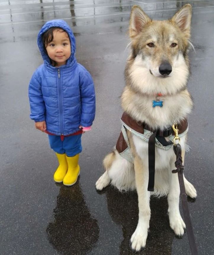 Dieťa v modrej bunde a žltých čižmách stojí vedľa veľkého psa na daždivom chodníku.