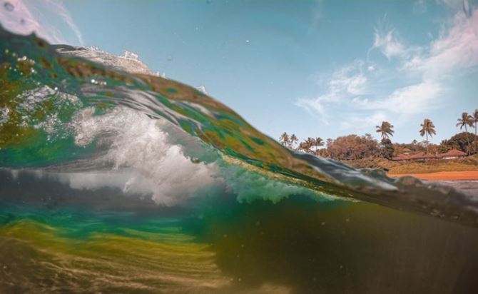 Vlna na slnečnej pláži s palmami v pozadí, jasne modrá obloha.