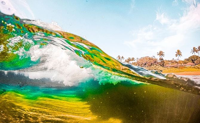 Vlna oceánu na slnečnej pláži s palmami, modrou oblohou a živými farbami pod vodou.