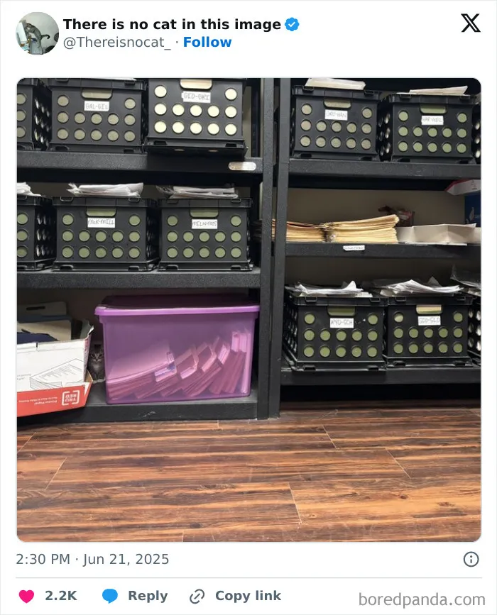 Police plné krabíc a priehľadný box na drevenej podlahe, miestnosť na archivovanie dokumentov.