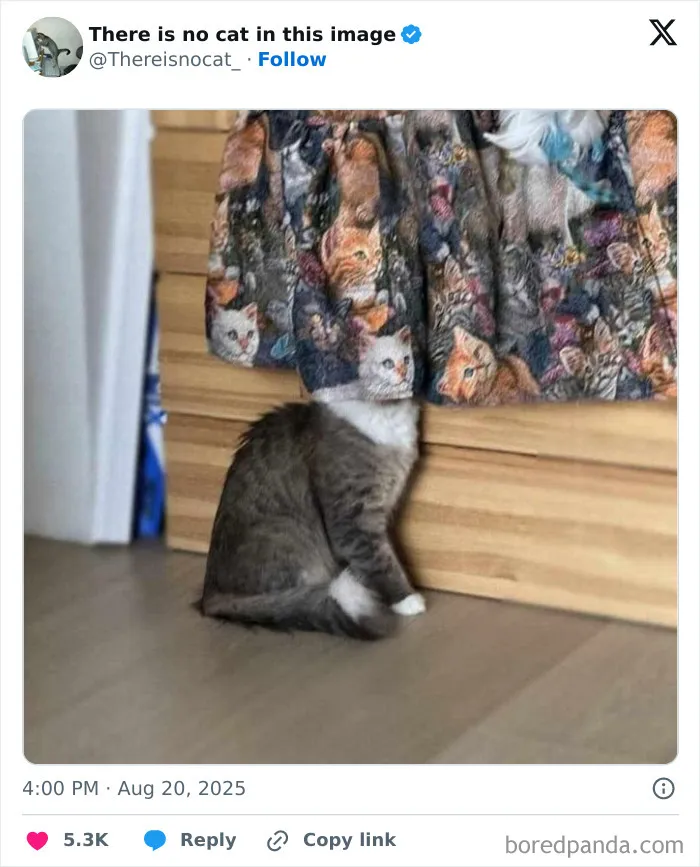 Mačka sa schováva za závesom s mačacím motívom, pričom vyzerá ako súčasť vzoru.