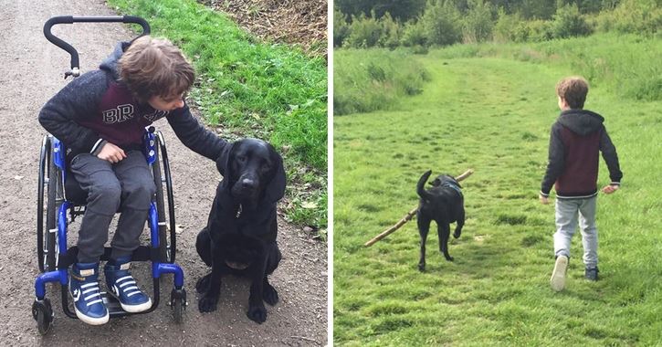 Chlapec na invalidnom vozíku s čiernym labradorom vedľa seba; na druhej fotke chlapec kráča so psom po lúke.