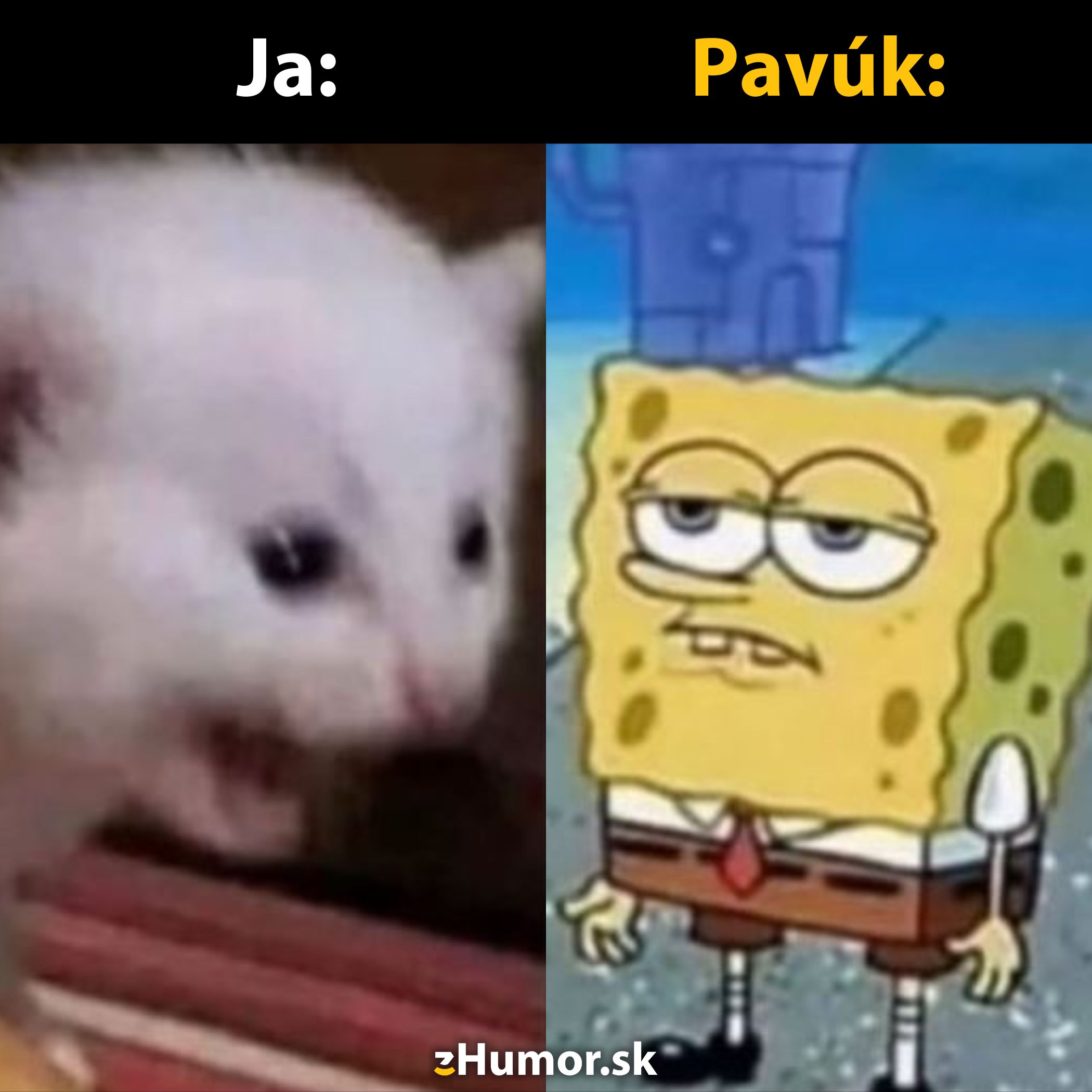 Bielo-sivá mačka prekvapene kričí a kreslená postavička ukazuje znudený výraz v humornom meme formáte.
