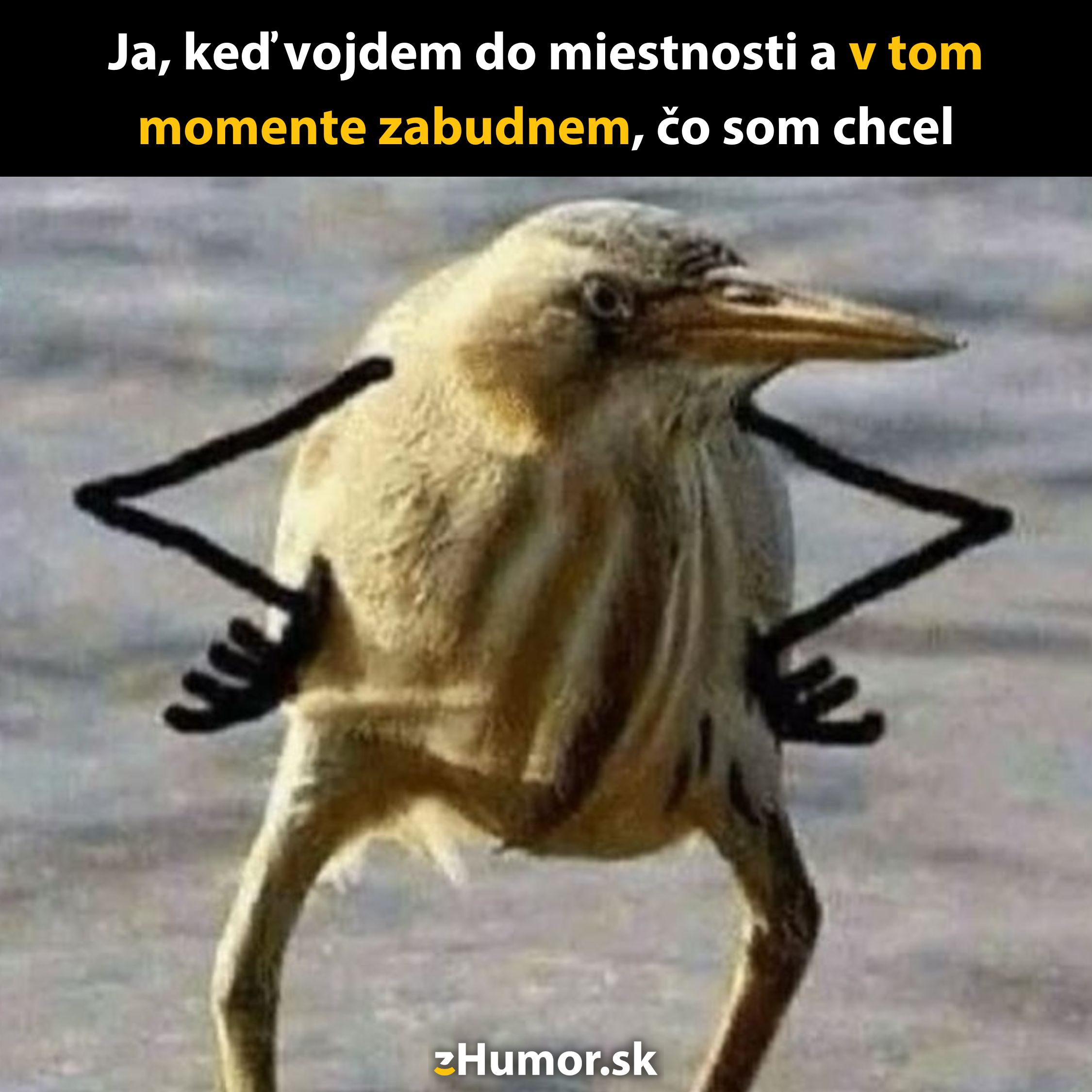 Vták s rukami v bok, ilustrujúci zmätok pri zabudnutí dôvodu príchodu do miestnosti.